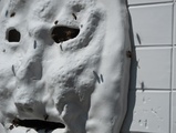 The Bees Tell - Dialogue on More-Than-Human Agency and Indeterminacy