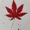 Herbst-Spezial| 29.09.2026 | 16 - 18 Uhr