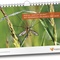 Wandkalender "Permakultur-Prinzipien" A3