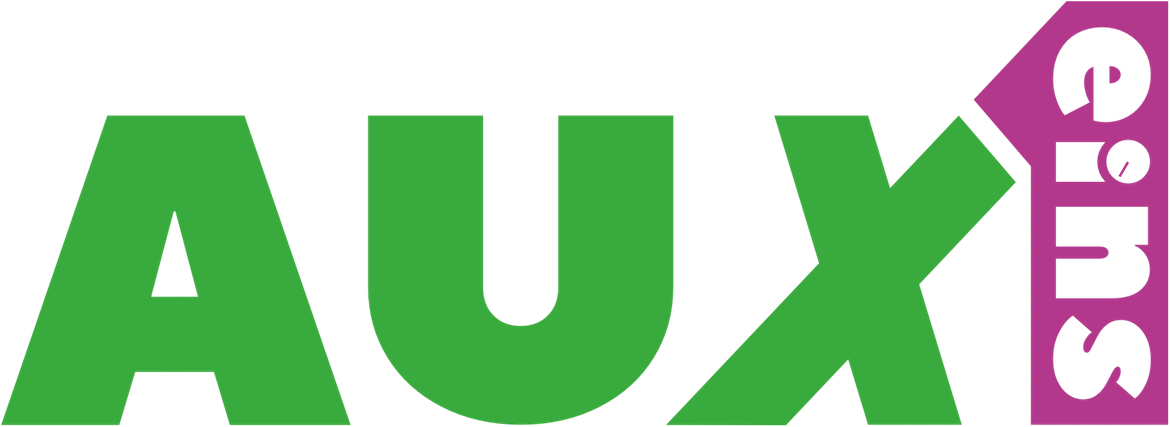 AUXeins