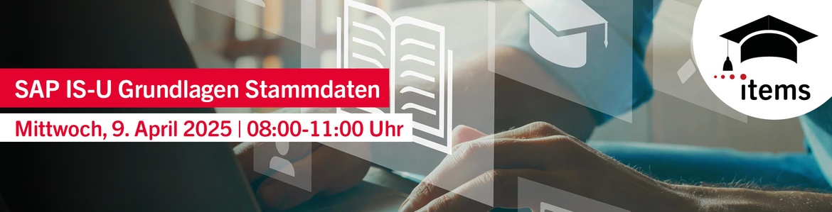 SAP IS-U Grundlagen: Stammdaten | Q3/25