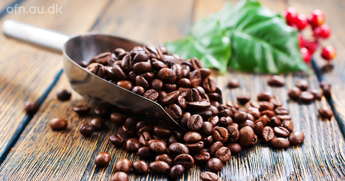 Foredrag | Livestream: Kaffe (i Flensborg)