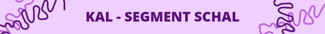 Segment Schal Anstrickparty