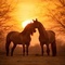 Sonnenuntergang & Ponyträume