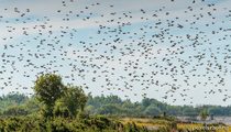 Fachtagung Natur & Tourismus 2026