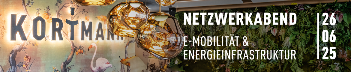 Netzwerkabend "E-Mobilität & Energieinfrastruktur"