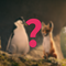 Überraschungsferienkino mit dem dritten tierischen Abenteuer in der magischen Wintersteinschule