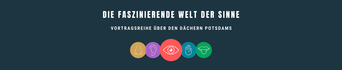 Die faszinierende Welt der Sinne