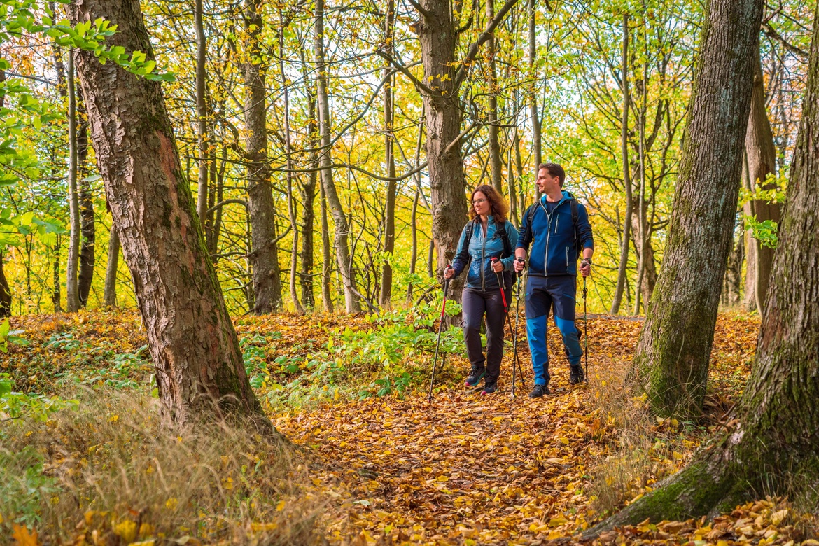 Wanderreihe Klima, Natur und Landschaft – Der Herbst