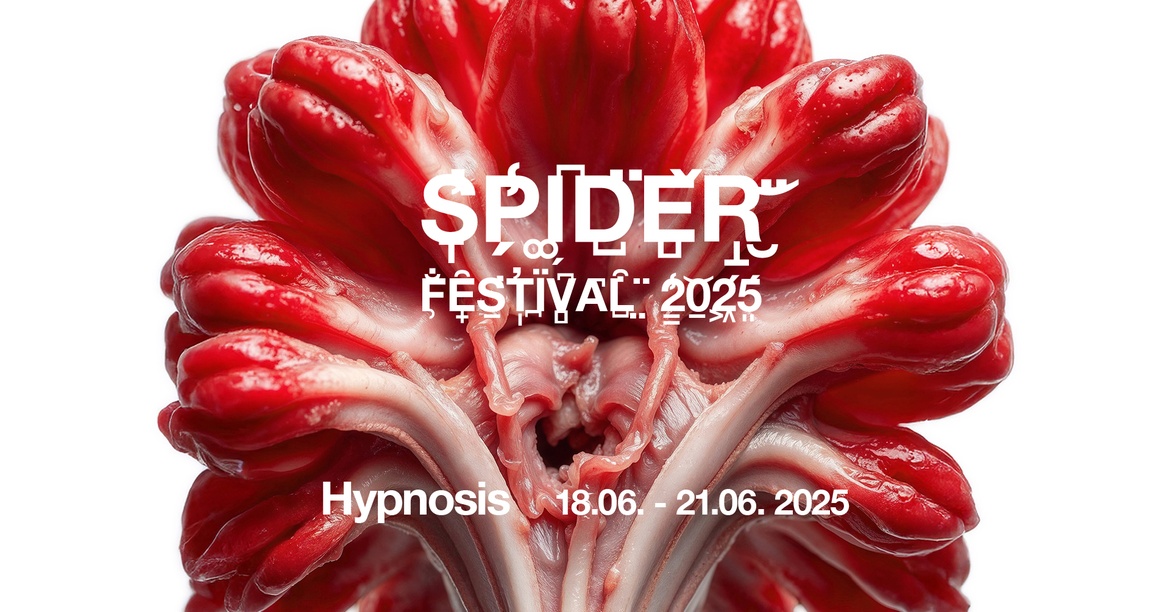 Spider Festival 2025