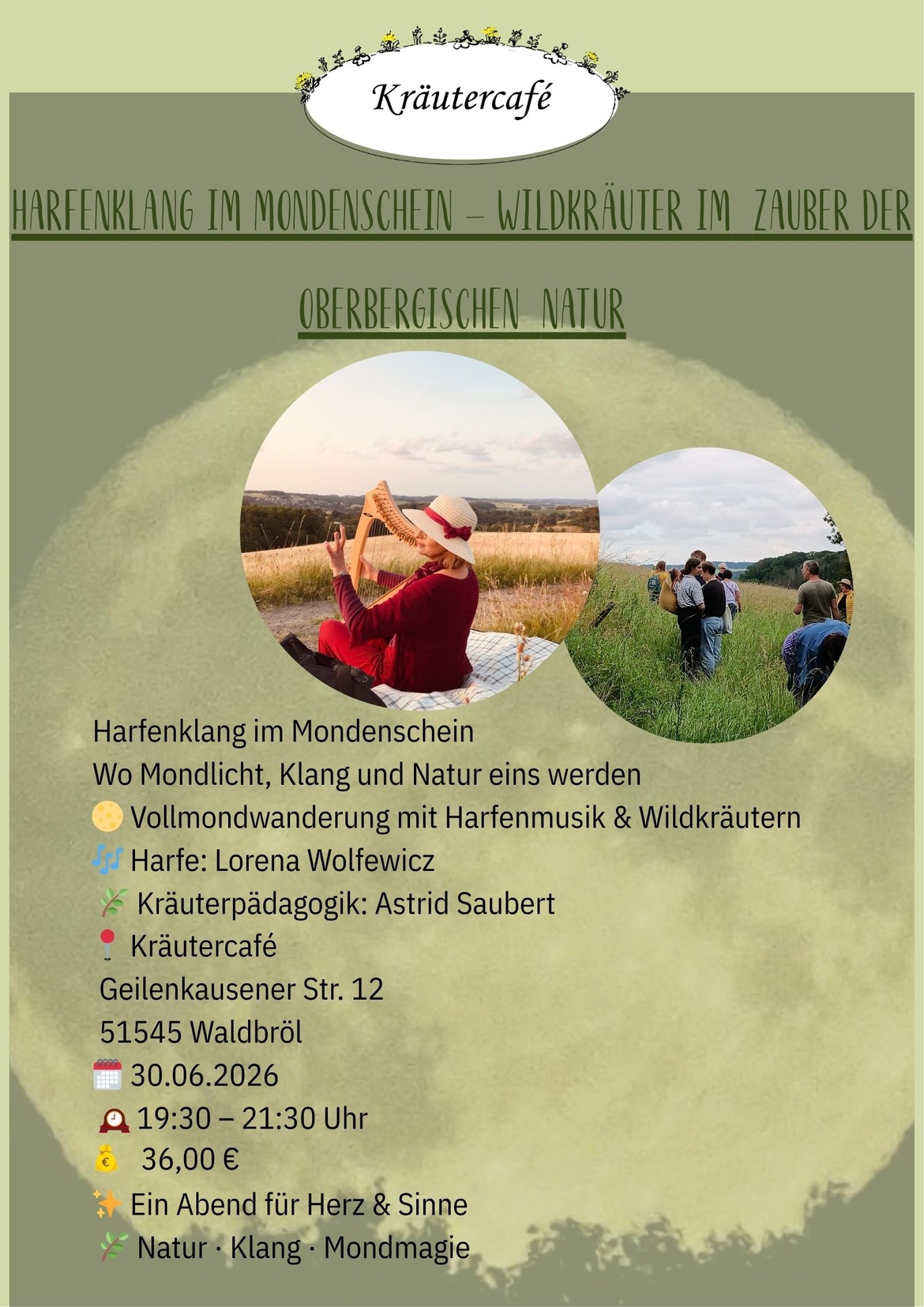 Harfenklang bei Mondenschein – Wildkräuter im Zauber der oberbergischen Natur