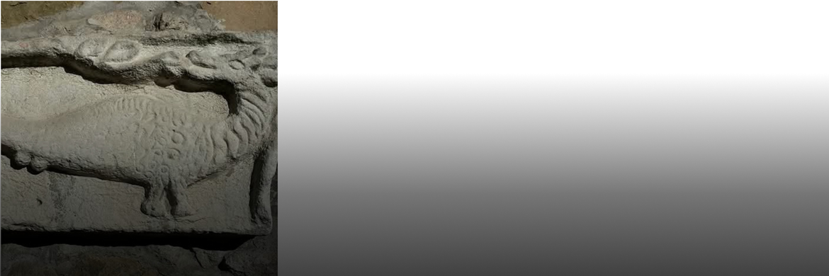 Verein für Heimatkunde und Heimatpflege Groß-Enzersdorf