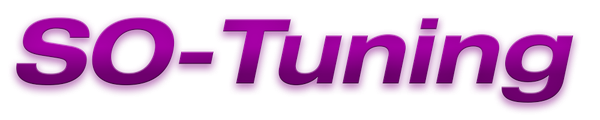 SO-Tuning & Friends 2025