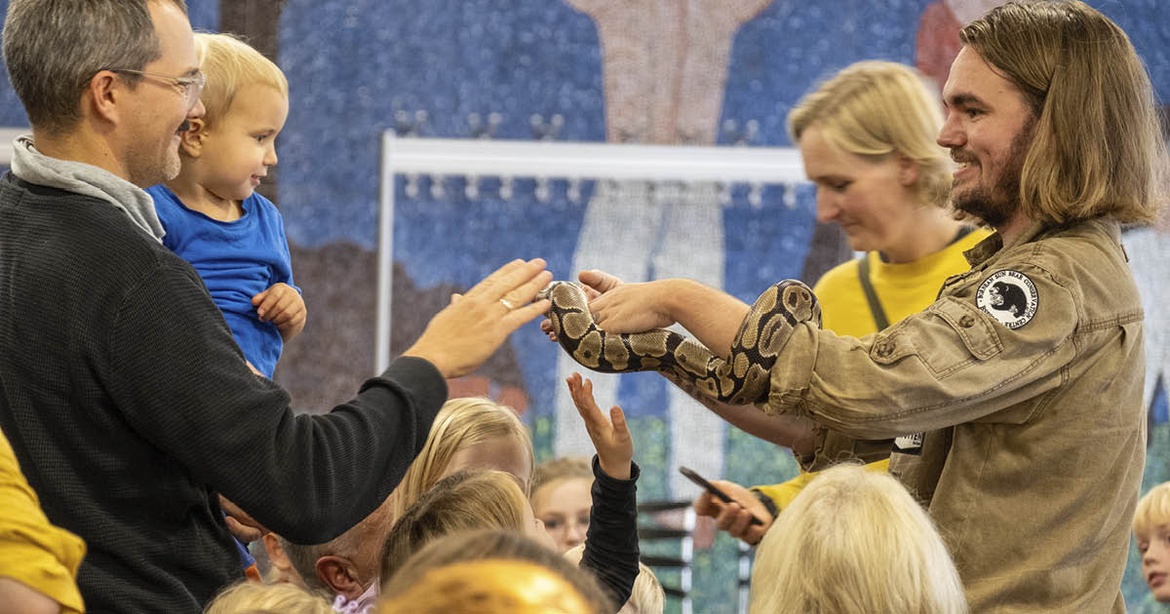 70 arter på 14 dage (i Flensborg)