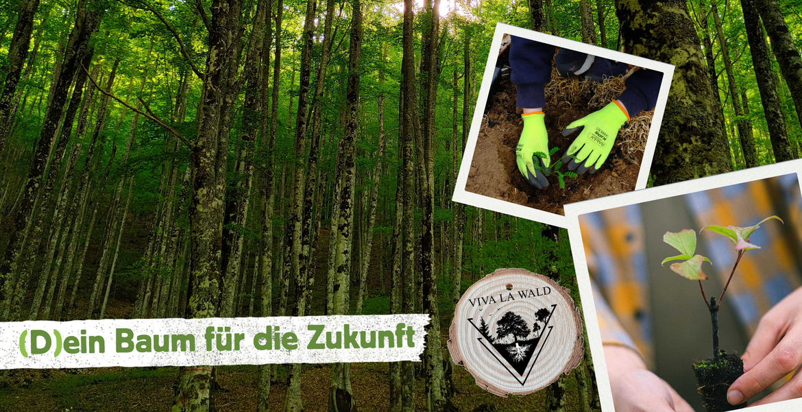 (D)ein Baum für die Zukunft