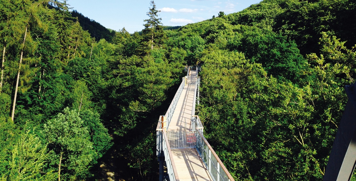 Öffentliche Führungen Baumwipfelpfad Harz