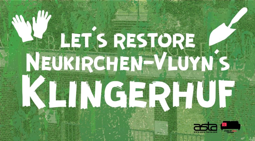 Klingerhuf: The First Chapter