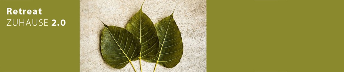 Retreat Zuhause 2.0/Jahr 6