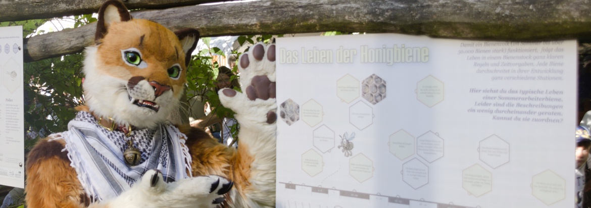 Tierparkfest Bischofswerda