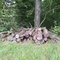 8,99 Fm o.R. Buche - Holzpaket 149411/8