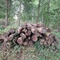 8,91 Fm o.R. Buche - Holzpaket 149411/12