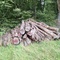 8,95 Fm o.R. Buche - Holzpaket 149411/9