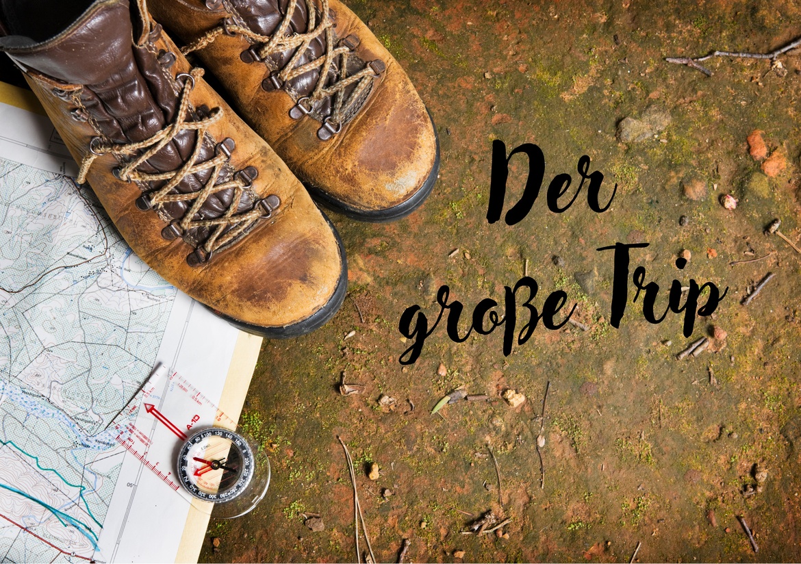 Der große Trip - Wild - Szenische Lesung