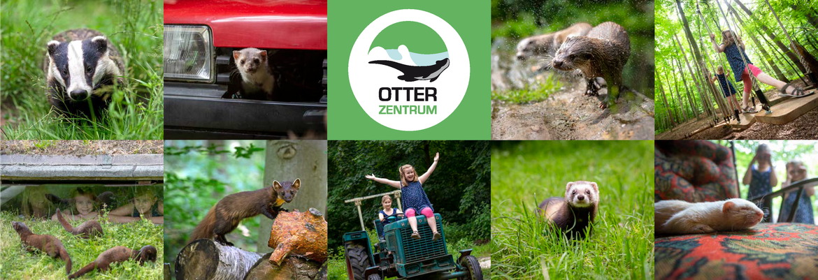 Besuch im OTTER-ZENTRUM