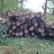 9,00 Fm o.R. Buche - Holzpaket 149411/14